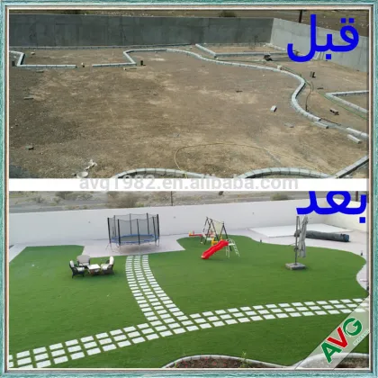 2016 AVG New Product S Shape Upright Ornamental Grasses For Shady Areas