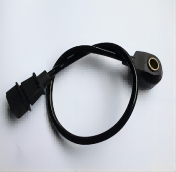 7669123 Knock Sensor