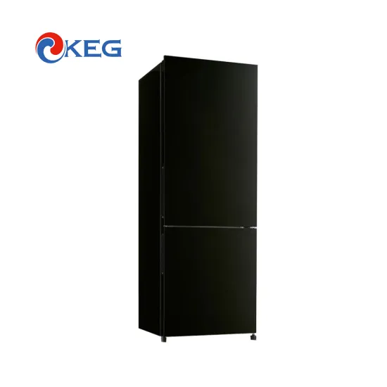 425L Double Door Fridge by Handian Group: Your Ultimate Home Kitchen Appliance