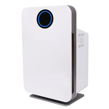 HEPA Air Purifier Reduces Pollen & Allergens