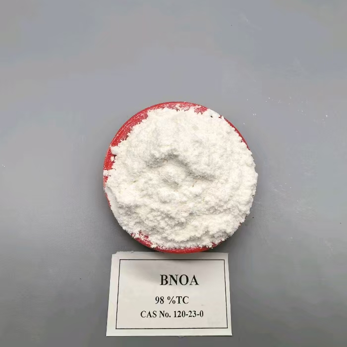 1-Naphthoxyacetic acid BNOA - Fruit thinner - plant growth regulator