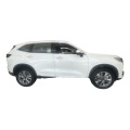 Haval H6 DHT-PHEV 110 km Yuexing Edition