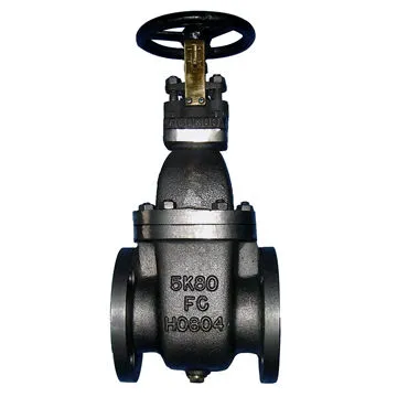 JIS 5K 10K 16K Cast Iron Gate Valve