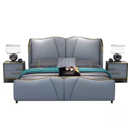 C2024 Modern Creative Stainless Steel Frame Family Bedroom Furniture Sofa Bed