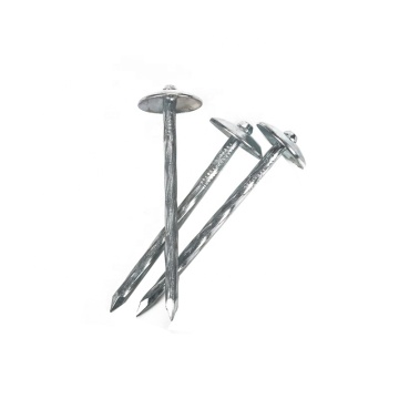 Galvanized Umbrella Head Roofing Nails - China Manufacturer - BWG9 Size - 2.5 Inch Length