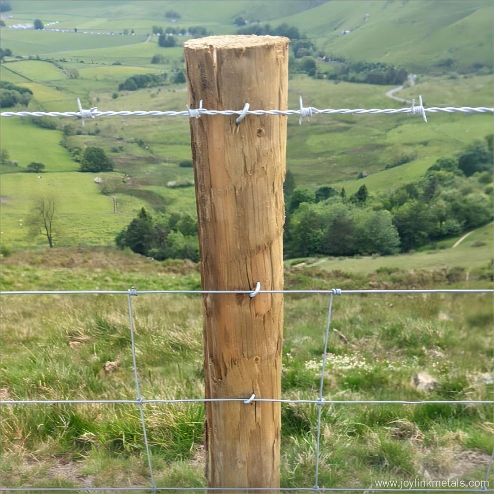 Barbed Wire Coil Double Twisted Galvanized wire