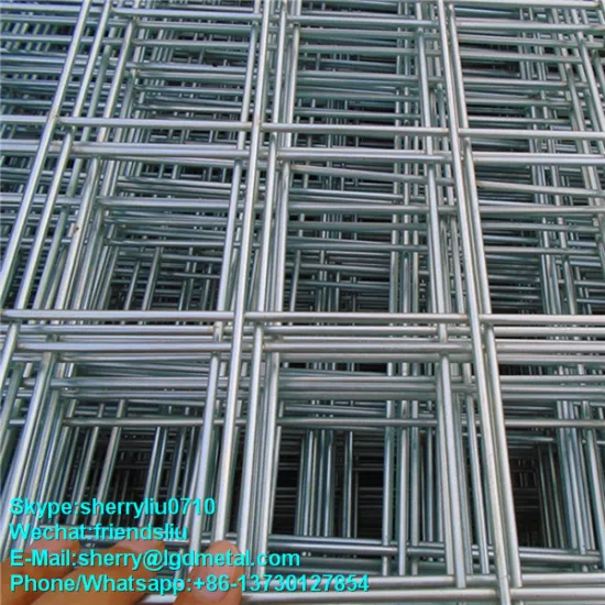 galvanized welded wire net factory----WMSL005