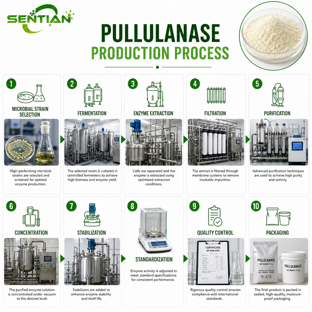 Pullulanase1