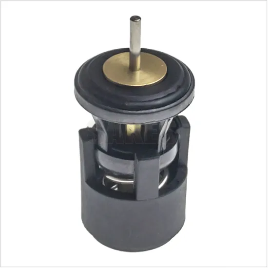 Hot Sale Factory Wholesaling High-Quality Audi Auto Cooling System Engine Thermostat