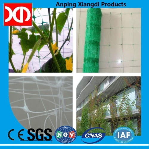 100% virgin material Plastic trellis net plant climbing support netting cucumber netting vine netting Pea & Bean netting