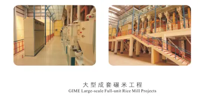 Large-scale Full-unit Rice Mill Projects