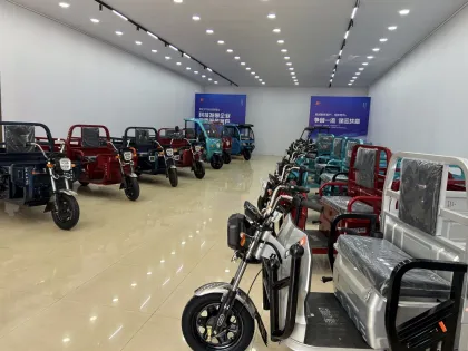 Stability Performance Electric Tricycle