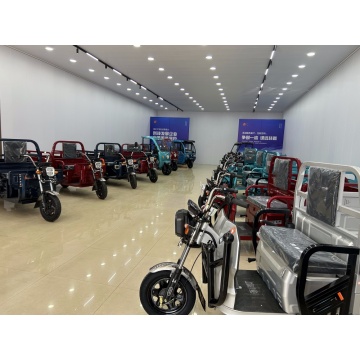 Stability Performance of Electric Tricycles: An Analysis