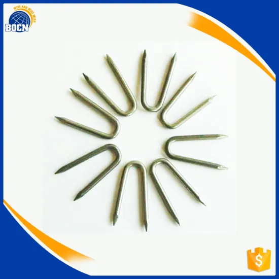 high quality Wire Staple Nails Fence Nails