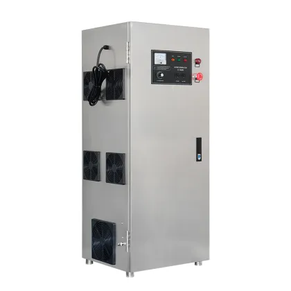 Professional 100g PLC Ozone Generator for Textile Washing and Bleaching