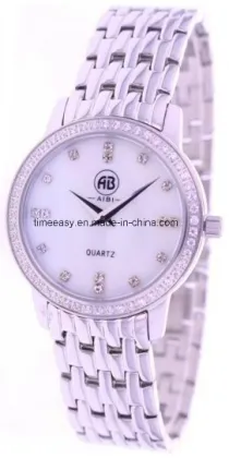 New Arrival Charm Elegant Steel Watch