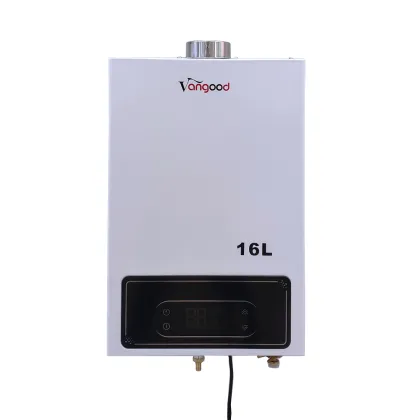 Intelligent Constant Temperature Central Gas Water Heater with Delicate Appearance