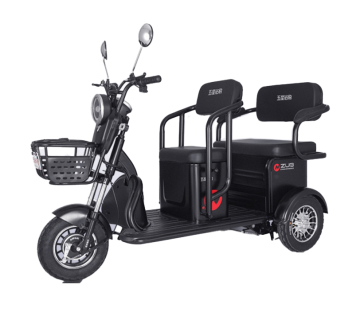 M5 (Leisure Electric Tricycle)