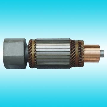 Starter Armature