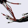 Assembly Power Wire Harness