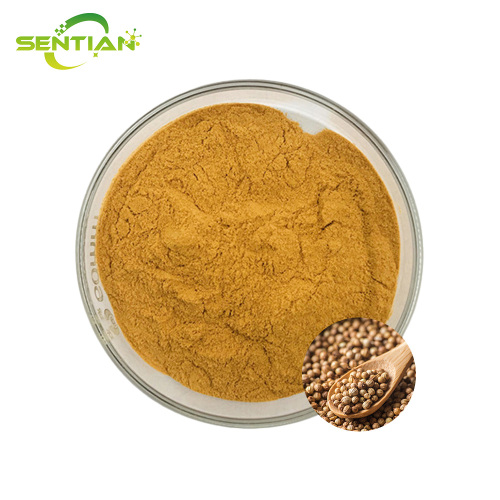High-Quality Coriander Seed Extract