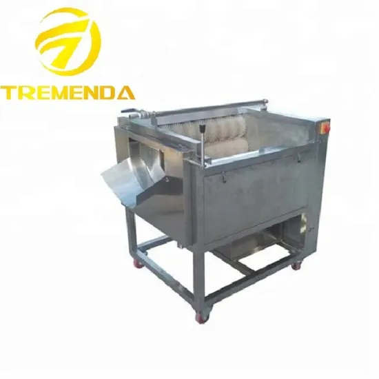 onion cleaning machine