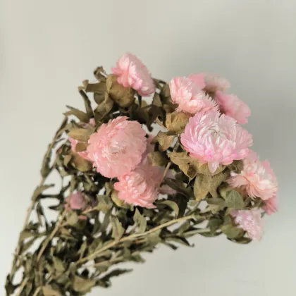 Daisy Party Decoration: Real Dry Flower Arrangements in White and Pink
