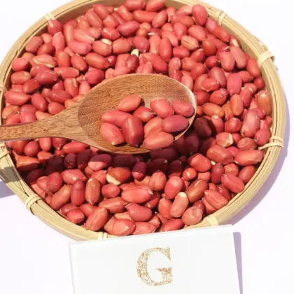 GEKO Food Cheap Wholesale Optimum Nutrition Peanuts for Peanut Oil