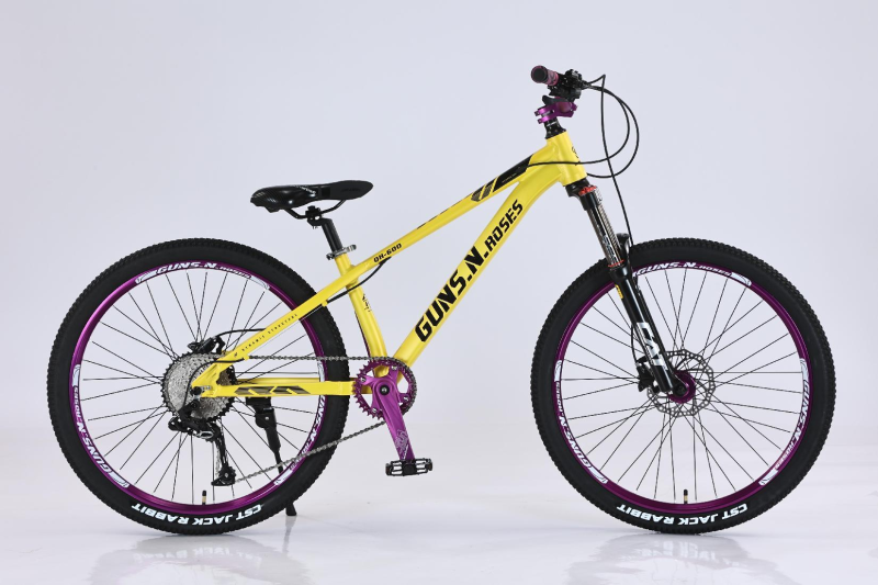 Premium Dirt Jump Bikes for Extreme Sports Enthusiasts