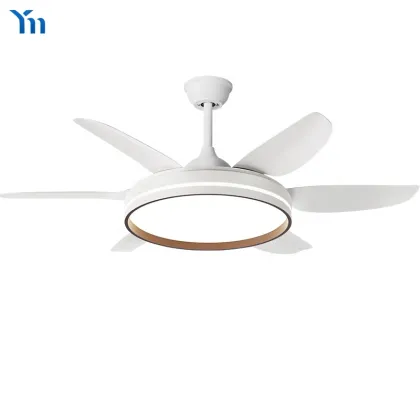 Modern LED Decorative Ceiling Fan with Light and Remote Control - Fans Home Appliances