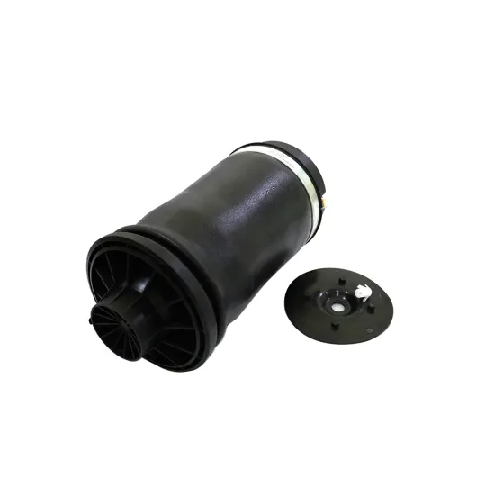 Transpeed Hot Selling Air Shocks Suspension Struts Rear Air Spring for Mercedes-Benz W164/ML350 ML500