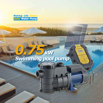 High Voltage IP54 Waterproof Brushless DC Motor Pump with Solar Panel