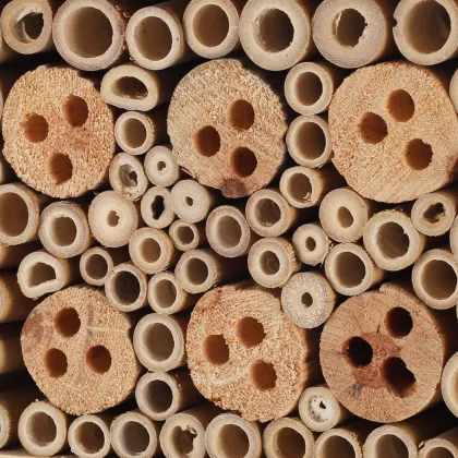 Hot Selling Outdoor Wooden Bee House with Rainproof Roof