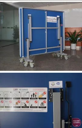 Friendship 729 Table Tennis Table YG-18