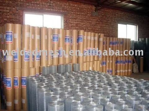 China Welded wire mesh manufacture with best price