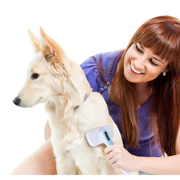 Set brush grooming anjing profesional