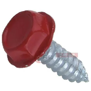 Self Tapping Screw 