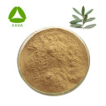 Olive Leaf Extract Powder Oleuropein 20% 40% 32619-42-4