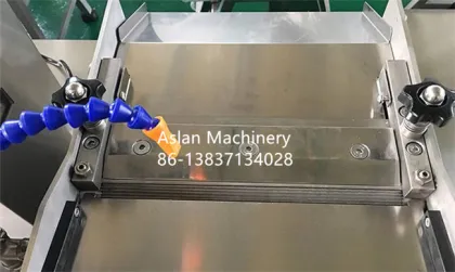 Carp Peeler - Fish Skin Peeling Machine