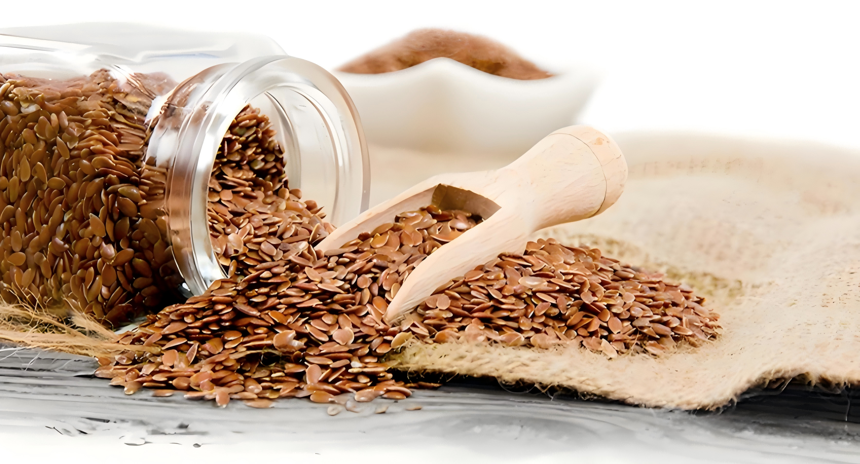 Oil Filter For Edible Oil Purifications