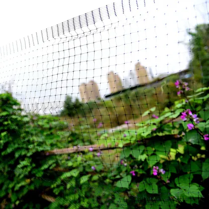 Extrusion Stretch Catching Bird Mist Net Anti Bird Network Mist Netting
