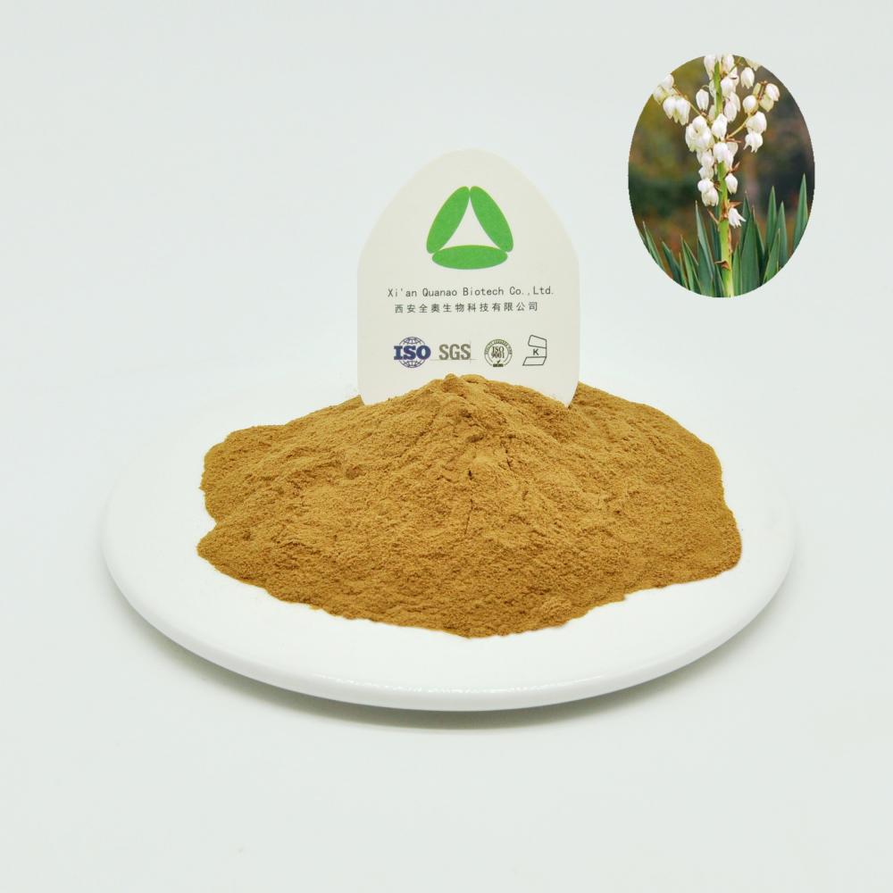 Yucca Extract Powder Saponins 60%