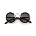 Cylindrical Buffalo Horn Sunglasses