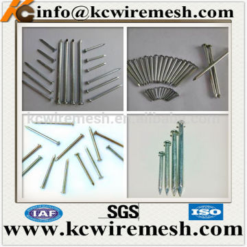 Galvanized Hardened Concrete Steel Nails .