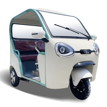 Customizable Middrive Electric Tricycle