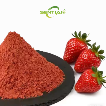 High Quality Strawberry Powder Extract