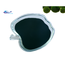 Supply Chlorella Vulgaris Wholesale Bulk Chlorella