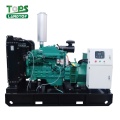 Global Warranty Silent Diesel Generator Price with ATS