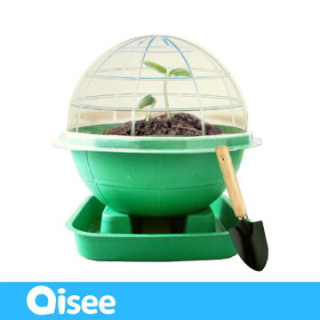 U-Plants/Green Globe/Home Decor/Growing Plant Set