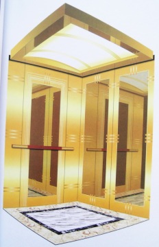 Luxury Passenger Elevator (TKJ375/1.0-JXW)